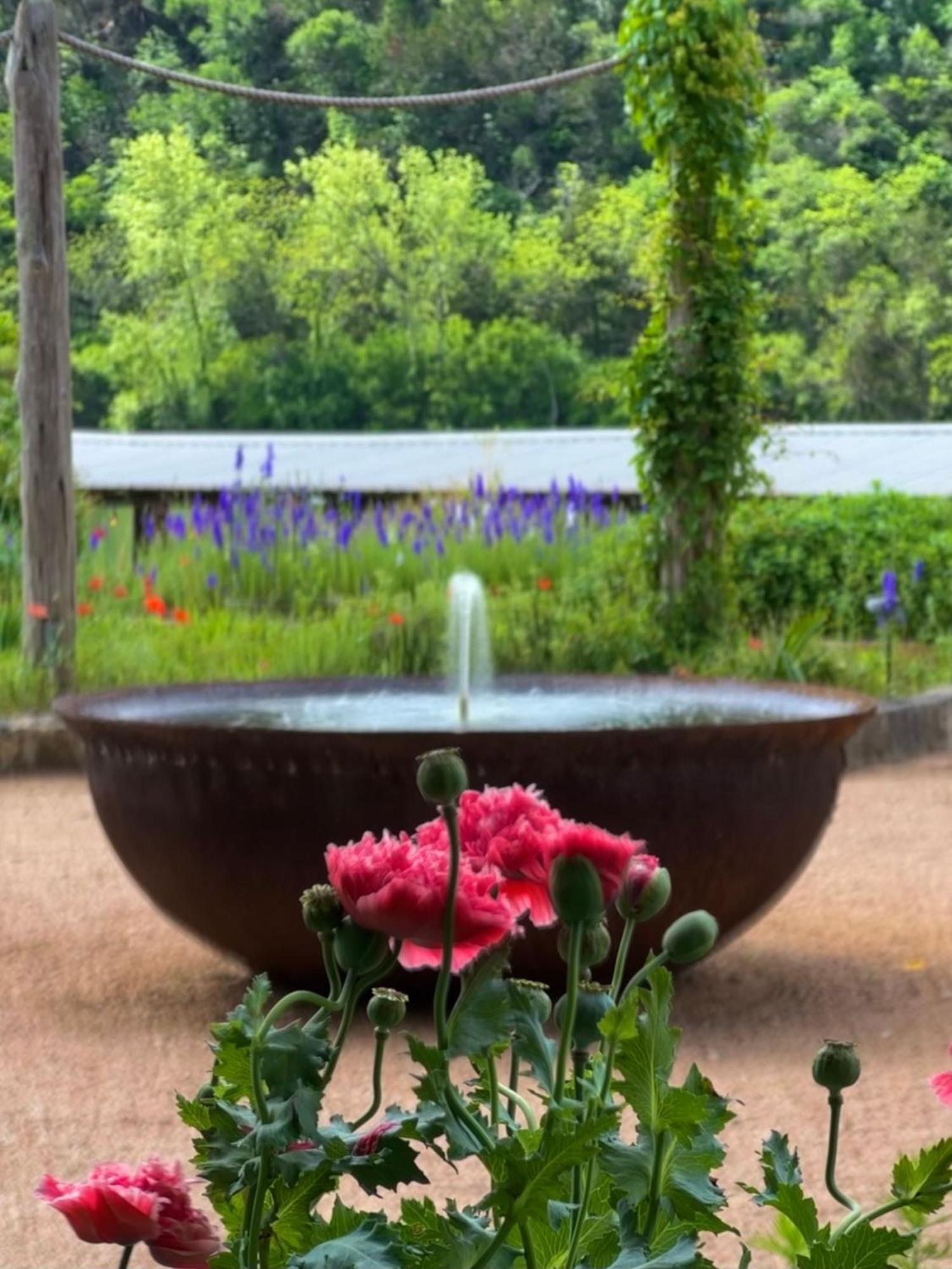 Lake Austin Spa Resort Екстериор снимка