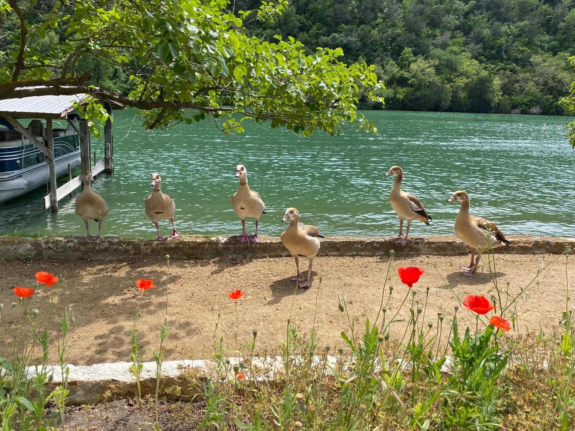 Lake Austin Spa Resort Екстериор снимка